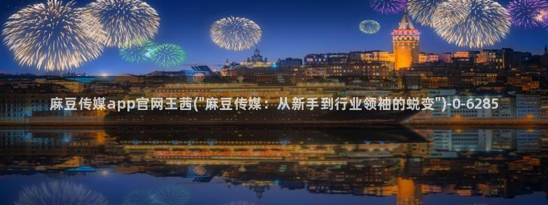 麻豆视频 专区完整版：麻豆传媒app官网王茜(\