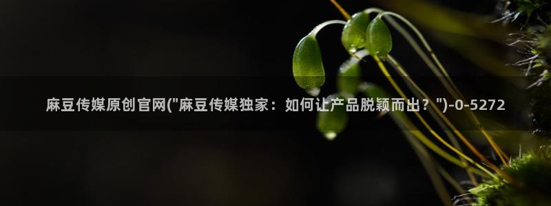 麻豆 最新高清：麻豆传媒原创官网(\