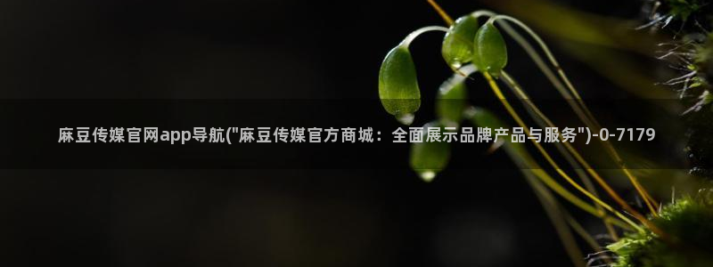 麻豆 合集高清：麻豆传媒官网app导航(\