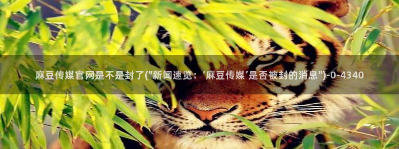 麻豆 在线看整理：麻豆传媒官网是不是封了(\