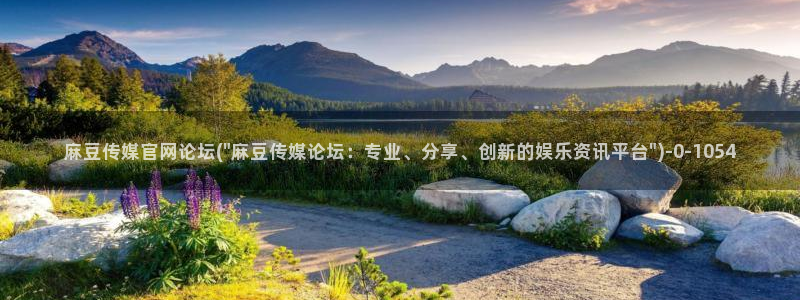 麻豆下载推荐：麻豆传媒官网论坛(\