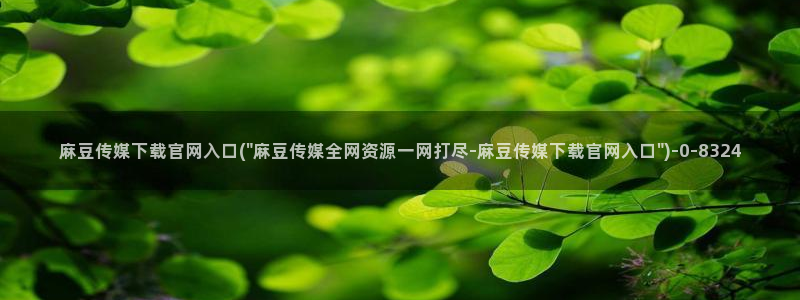 麻豆视频资源资源：麻豆传媒下载官网入口(\