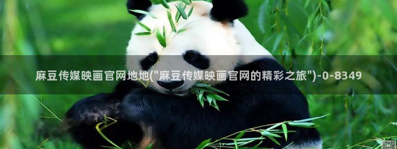 麻豆视频 短片整理