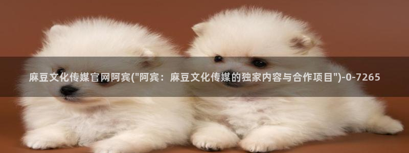 麻豆 高清专区：麻豆文化传媒官网阿宾(\