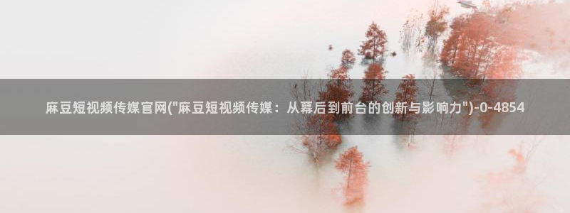 麻豆 下载整理