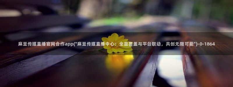麻豆视频内容高清