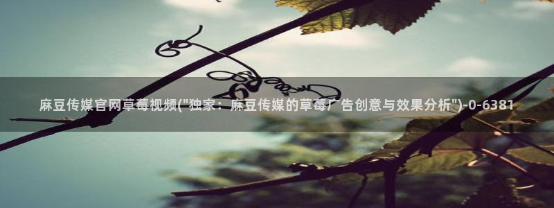 麻豆视频 入口推荐