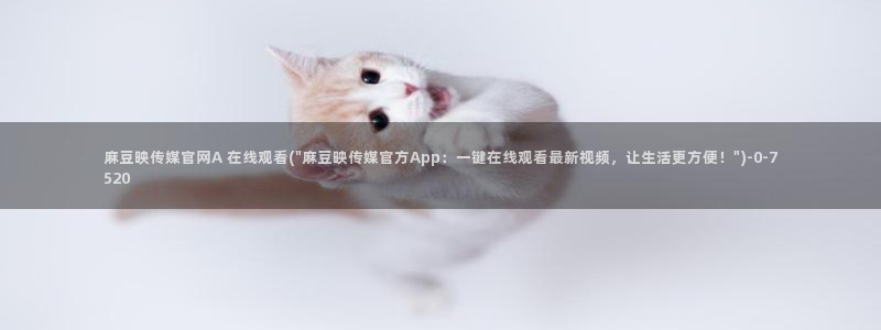 麻豆视频更新资源