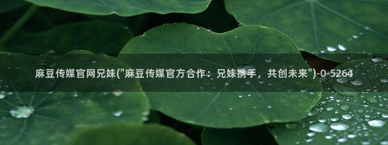 麻豆精选更新：麻豆传媒官网兄妹(\
