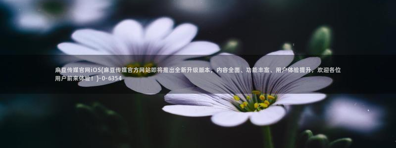 麻豆合集资源