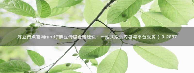 麻豆视频系列导航：麻豆传媒官网mod(\
