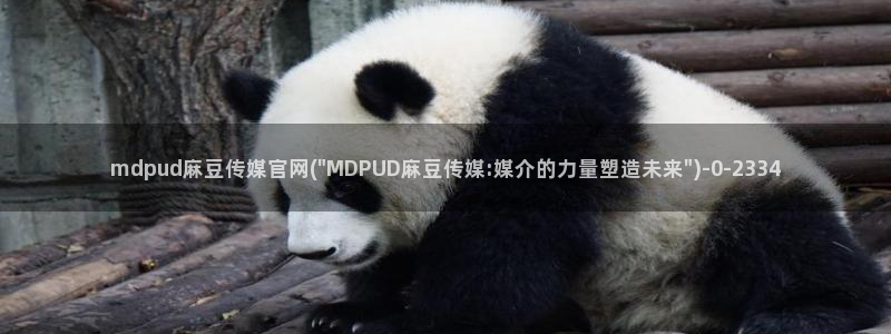 麻豆 精选