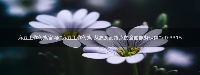麻豆视频图集视频：麻豆工作传媒官网(\