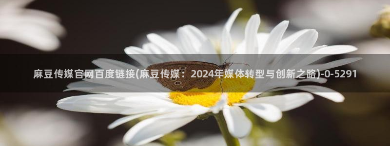 麻豆更新导航：麻豆传媒官网百度链接(麻豆传媒：2