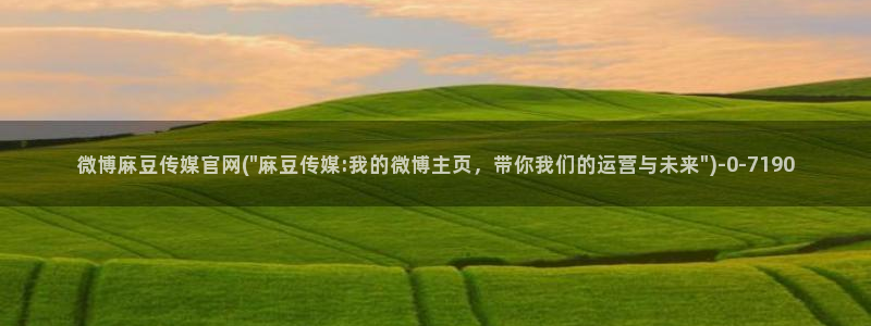 麻豆视频 官方整理