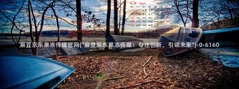 麻豆视频 下载在线看