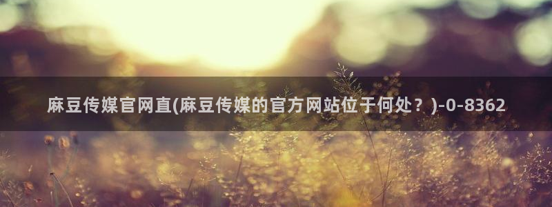 麻豆页面