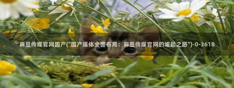 麻豆视频 更新下载