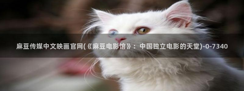 麻豆视频完整版更新